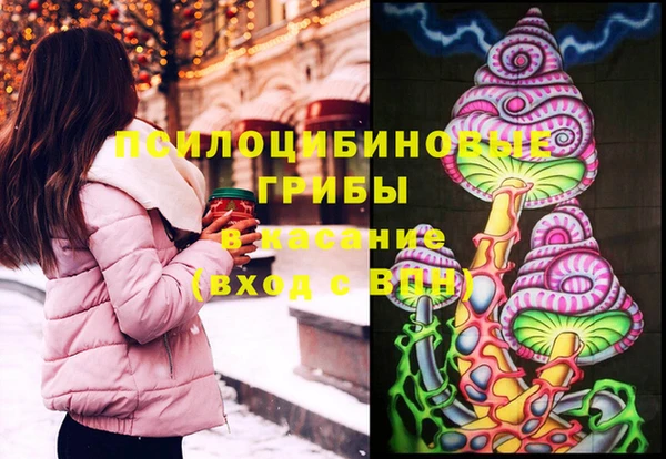 apvp Мегион